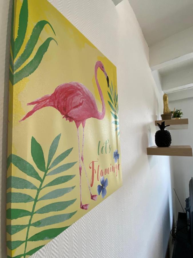 Les Cosy De Nancy - Le Duplex Aux Flammants Roses - 4Etoiles公寓 外观 照片